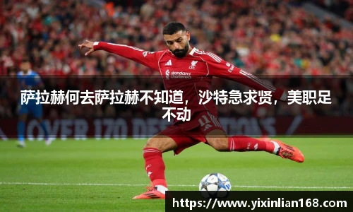体育网